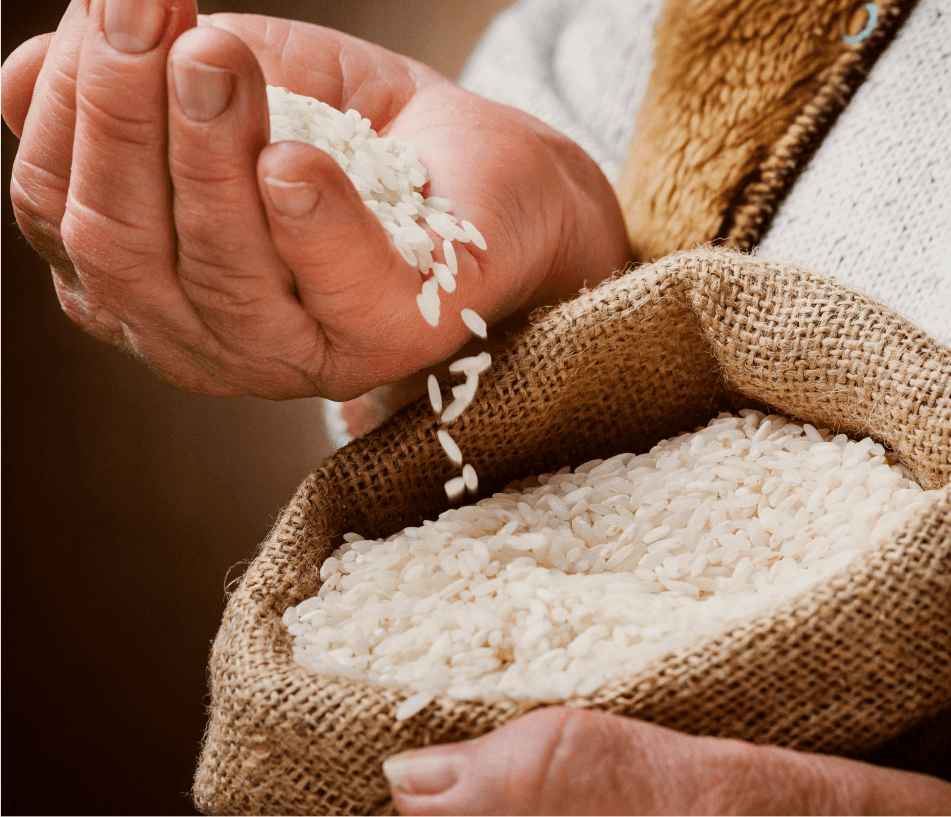 Granos de arroz
